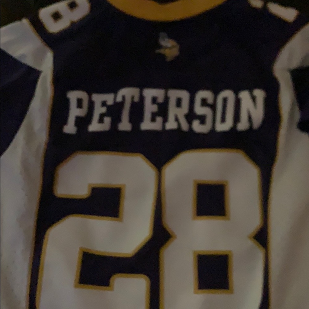 authentic adrian peterson jersey from hall of fame